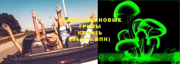 ПСИЛОЦИБИНОВЫЕ ГРИБЫ Бежецк