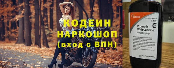 мет Бородино