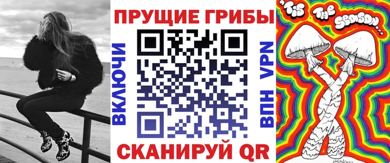 kraken сайт  наркошоп  Вяземский  Галлюциногенные грибы GOLDEN TEACHER 